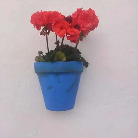 Holiday home Casa De La Abuela Sanlucar de Barrameda